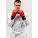 Перчатки для рукопашного боя Рэй-Спорт FIGHT-1, кожа